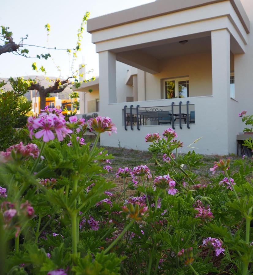Villa Olive House Malia Esterno foto