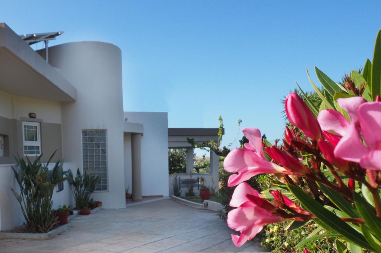Villa Olive House Malia Esterno foto