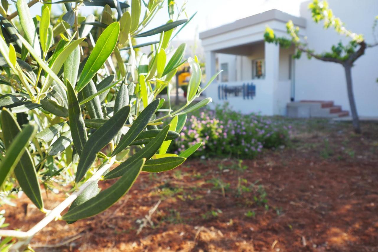 Villa Olive House Malia Esterno foto